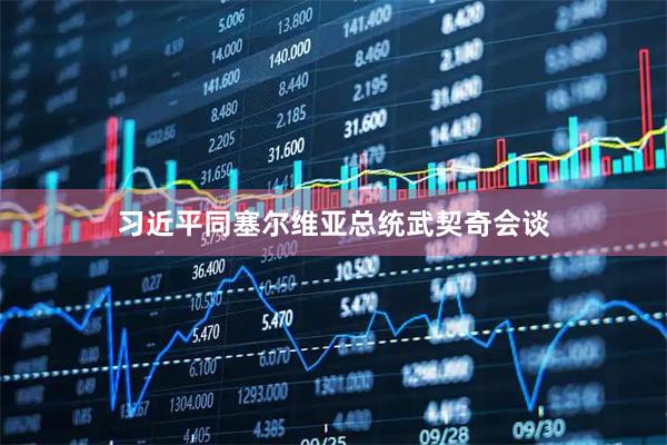 习近平同塞尔维亚总统武契奇会谈